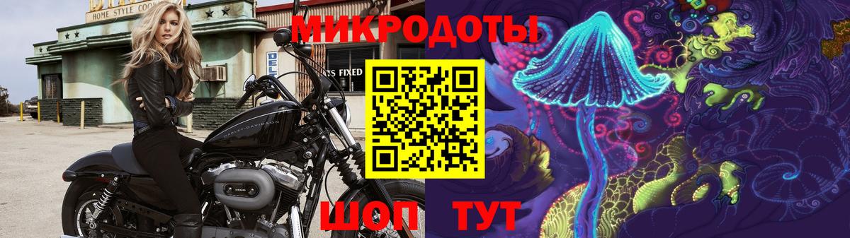 Псилоцибиновые грибы мухоморы Серов